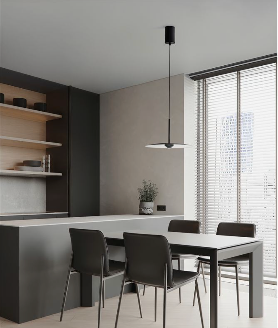NL Mila Matt Black Disc Pendant - ID 13800