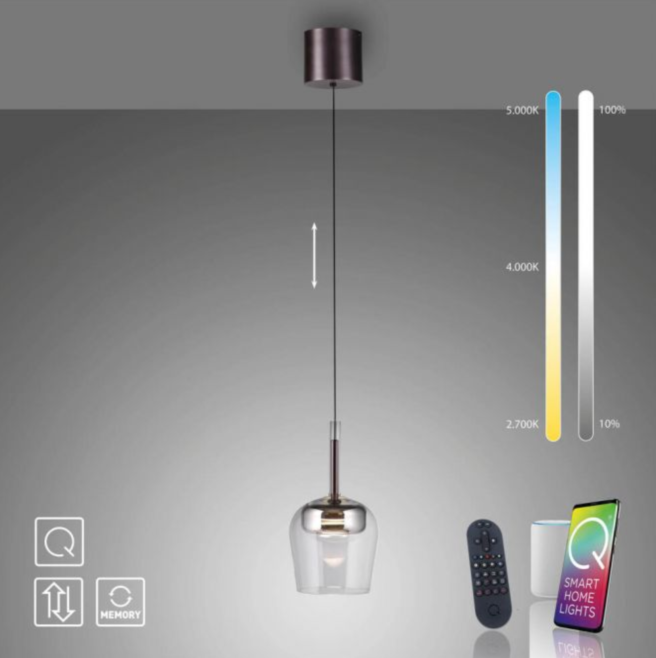 PNL Remote Controlled Raise & Lower Single Pendant Silver - ID 13919