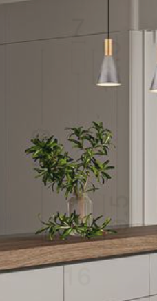 NL Voy Elegant Brass & Smoked Glass Slim Conical Pendant - ID 13764