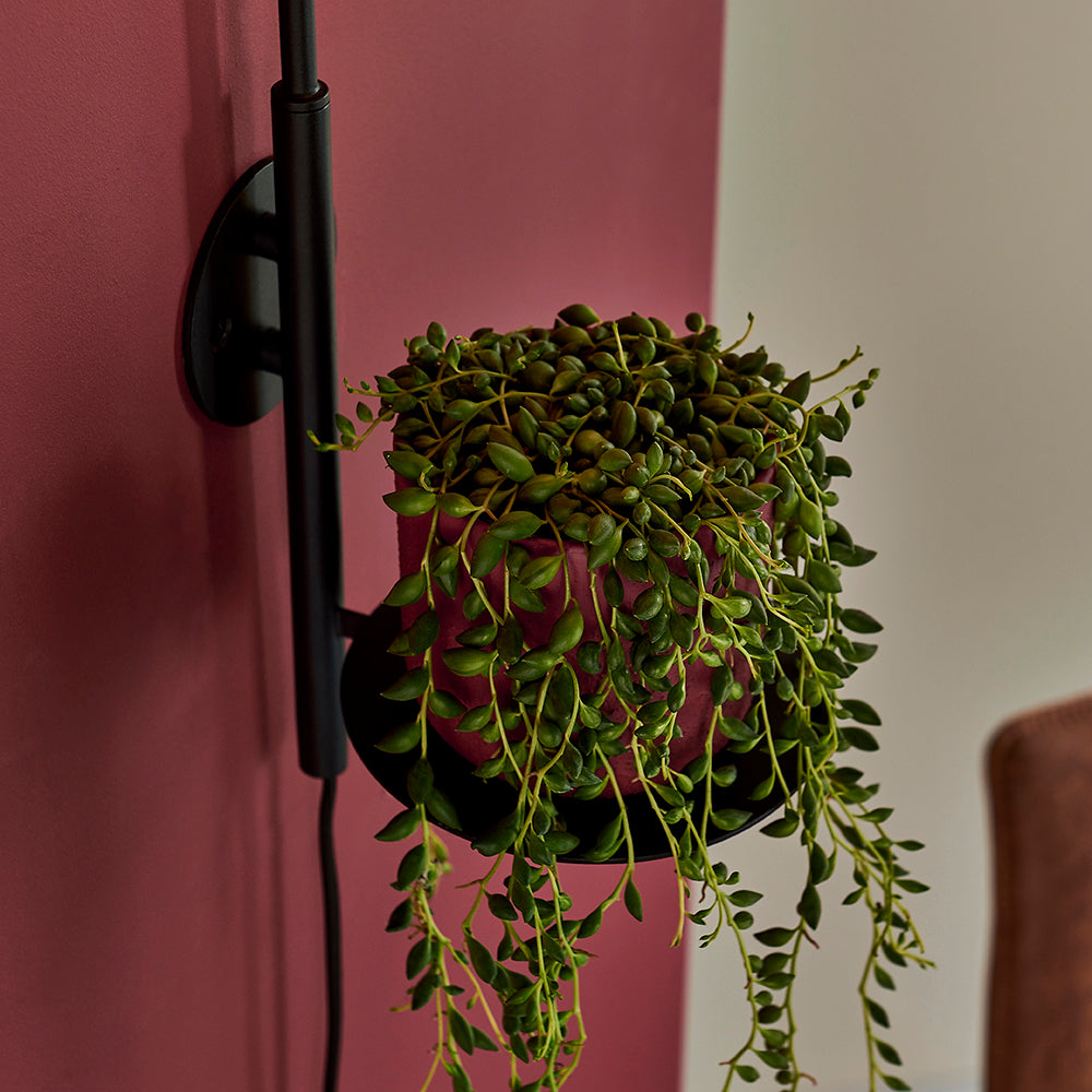 Satin Black Wall Light With Shelf - ID 11025