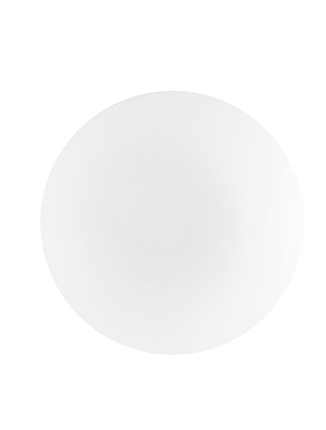 IVI White Opal Glass & White Metal Large Domed Bathroom Ceiling Light - ID 10909