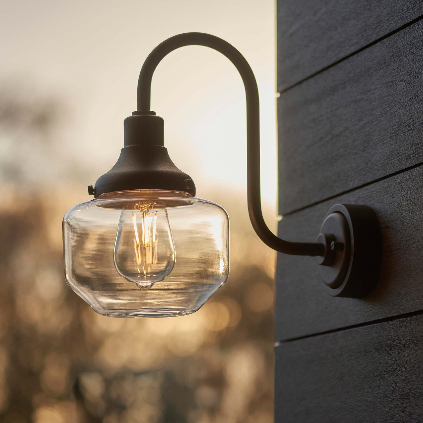 Textured Black With Swan Neck Wall Light With Clear Glass Shade - ID 12499
