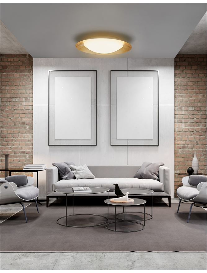 ZAN Diffused Gold Leaf Decorative Ceiling Light - ID 10596