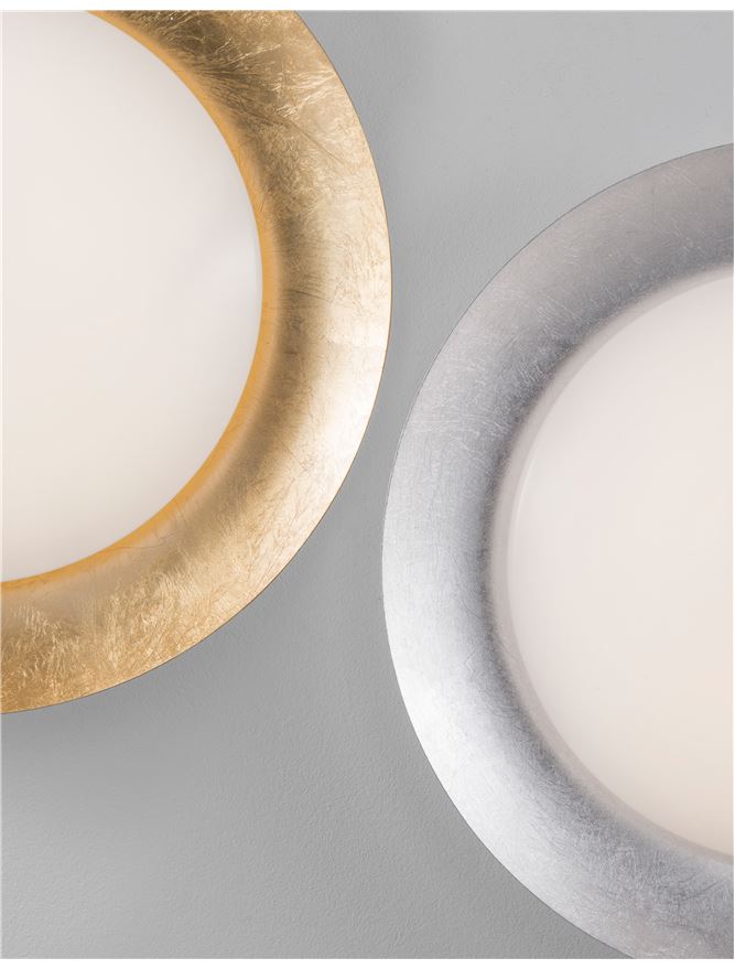 ZAN Diffused Silver Leaf Decorative Ceiling Light - ID 10597