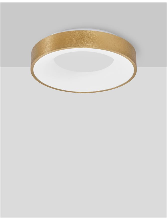 RAN Brushed Gold Aluminium & Acrylic Dimmable Warm Light Ring Flush Small - ID 10615