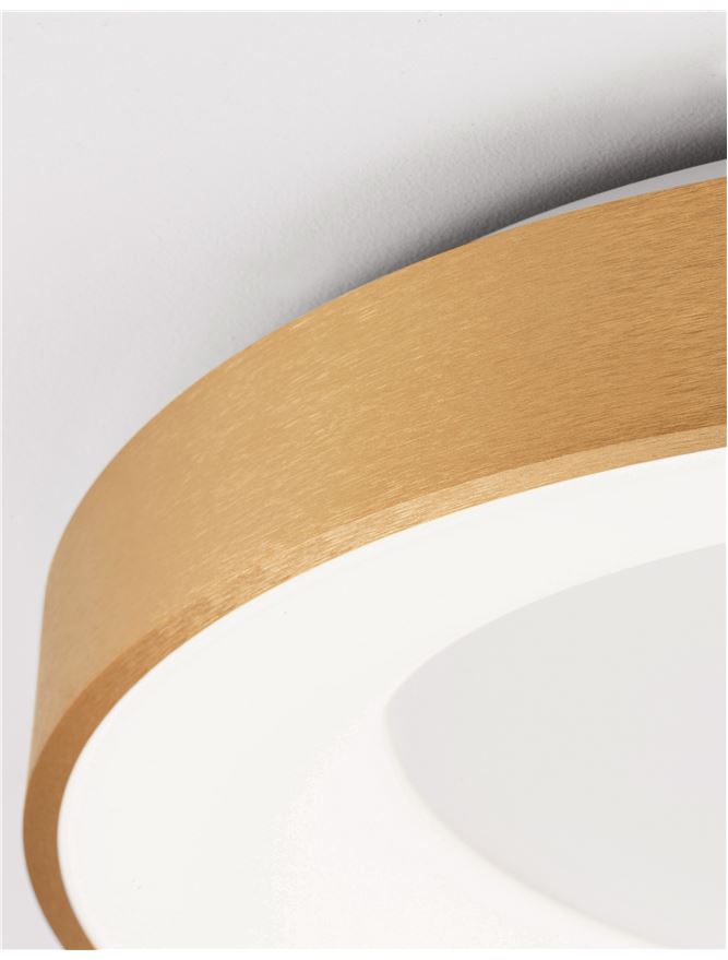 RAN Brushed Gold Aluminium & Acrylic Dimmable Warm Light Ring Flush Large - ID 10620