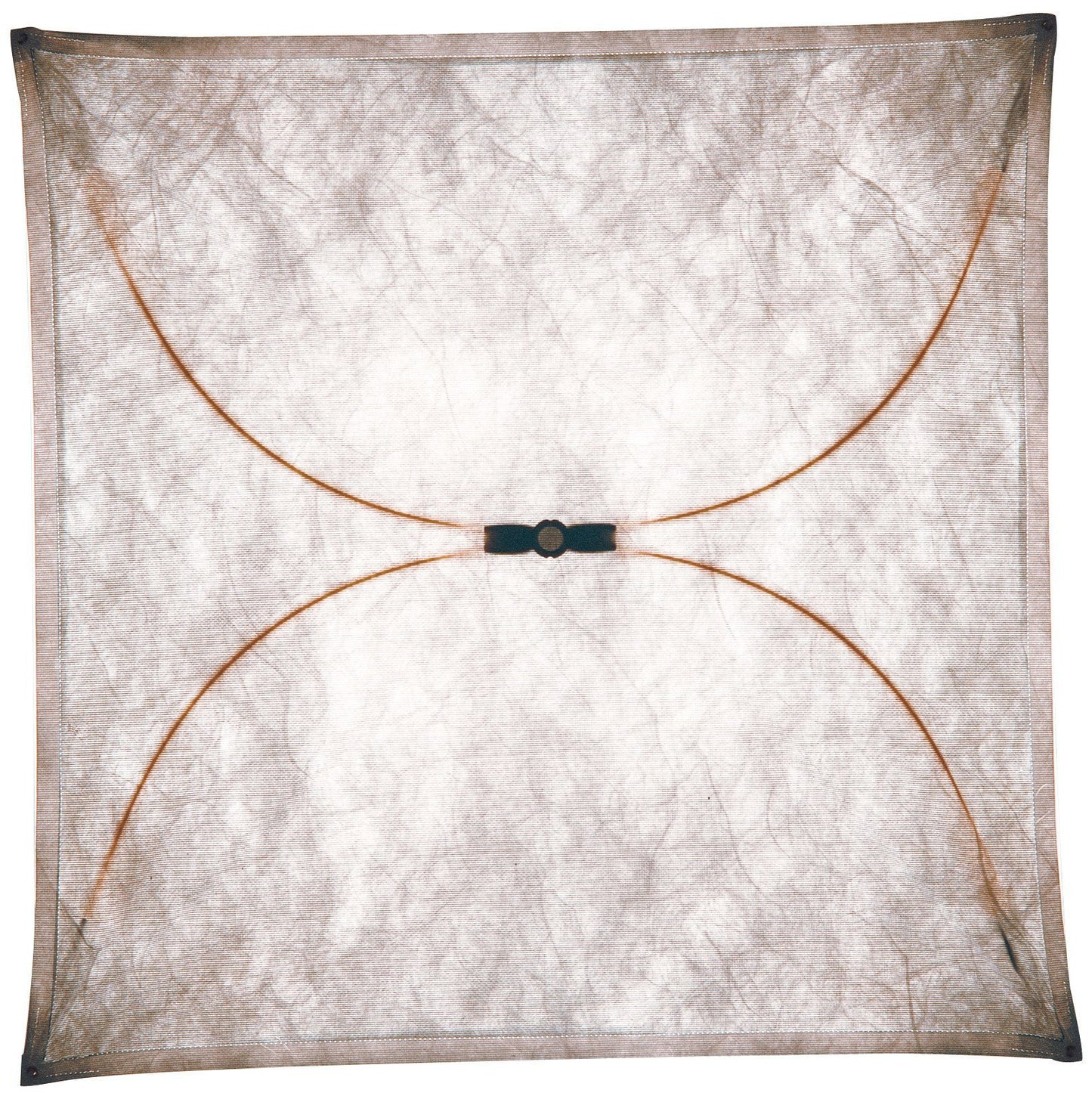 FLOS Ariette 2 Wall or Ceiling Light