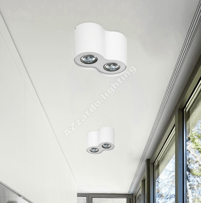 Hallywell 2 Lamp Cylindrical Downlight Cluster In White With Chrome Trim - ID 8931