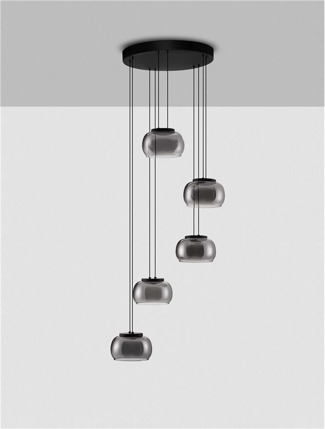 BIO Smokey Grey Glass 5 Light LED Multi Pendant - ID 14621