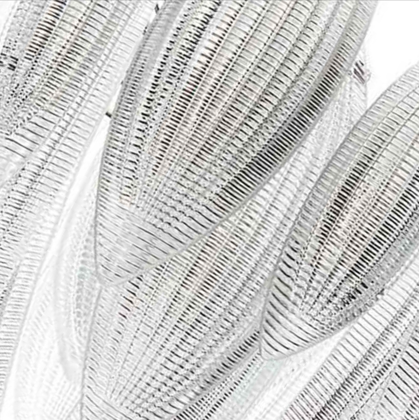 Paradise 100cm Murano Glass Chandelier