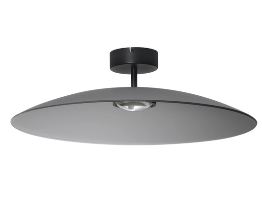 Life Flush 60cm Smoked Glass Disc Light - ID 14836