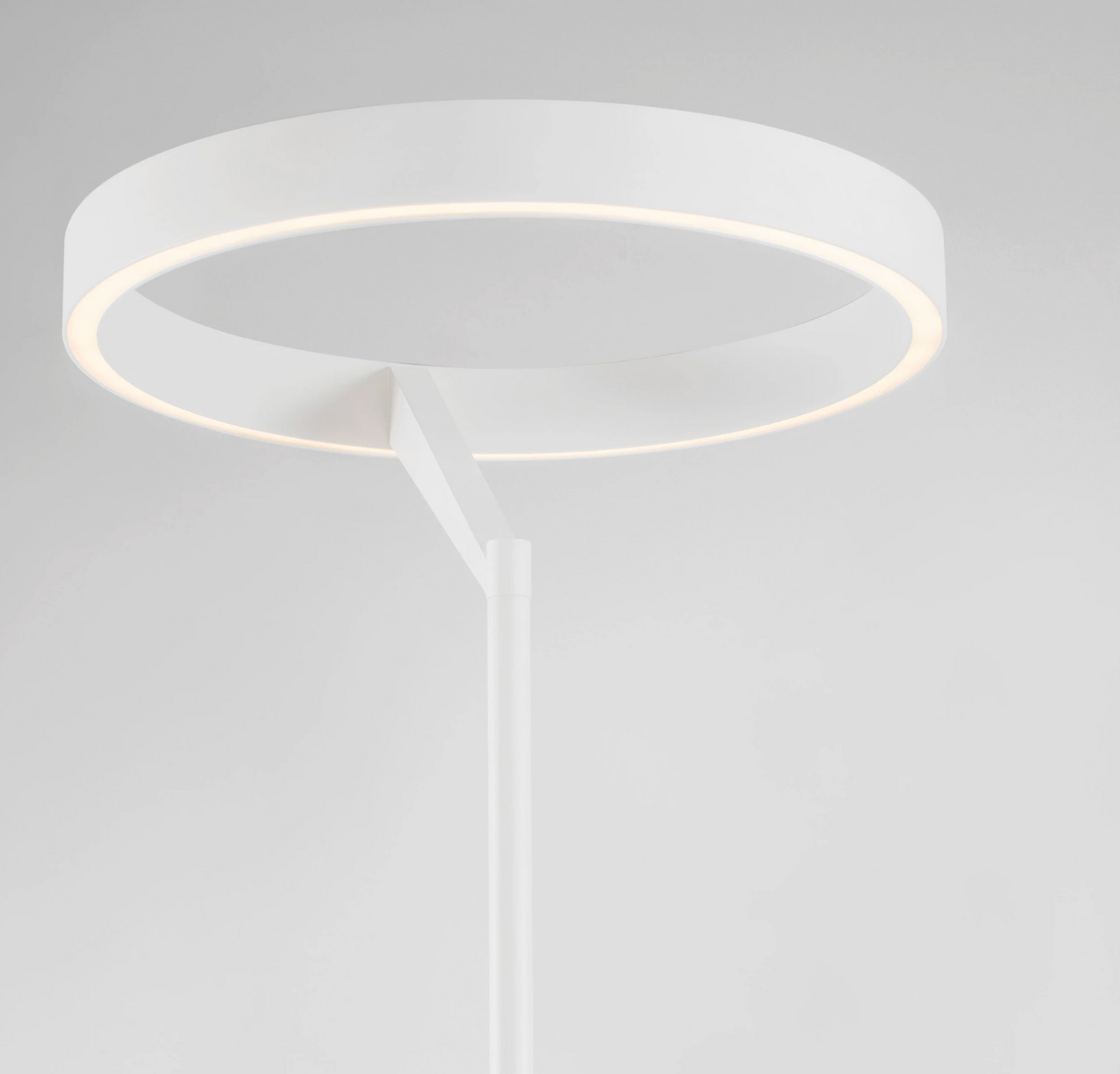 NL ADALIS Sandy White Dimmable Floor Light - ID 15013