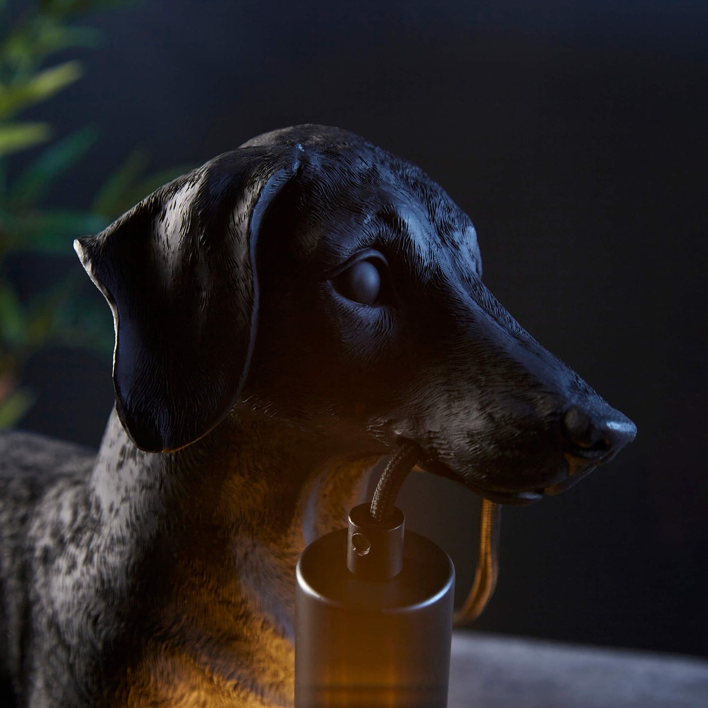 Matt Black Dachshund Table Light- ID 12554