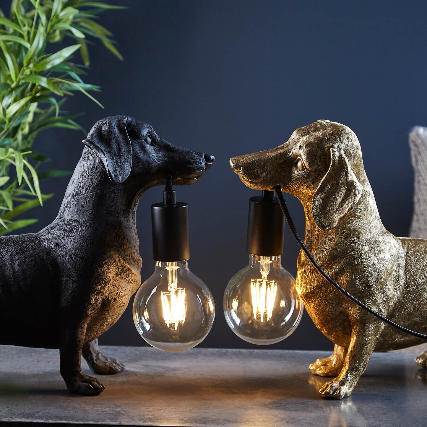 Matt Black Dachshund Table Light- ID 12554