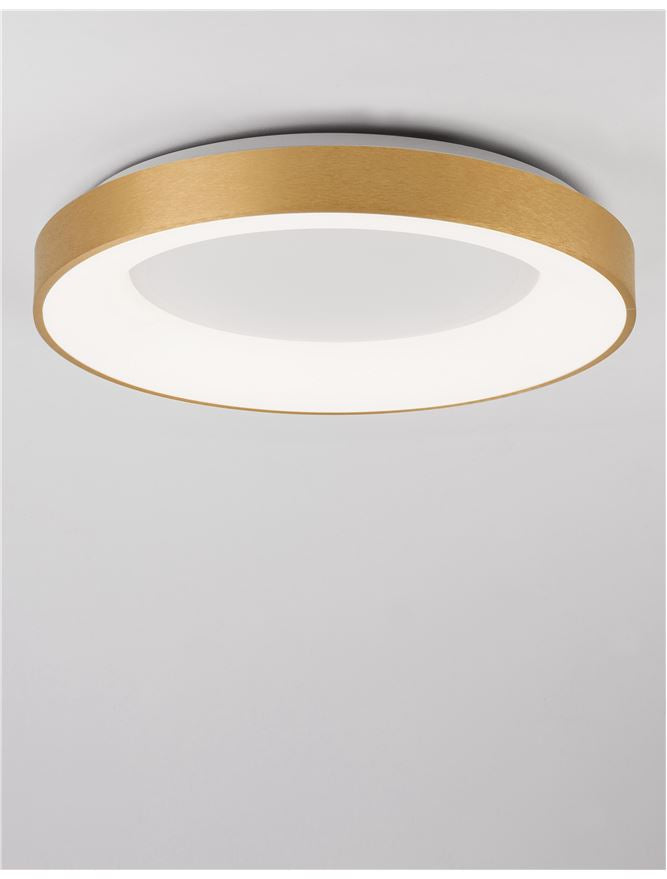 RAN Brushed Gold Aluminium & Acrylic Dimmable Warm Light Ring Flush Large - ID 10620