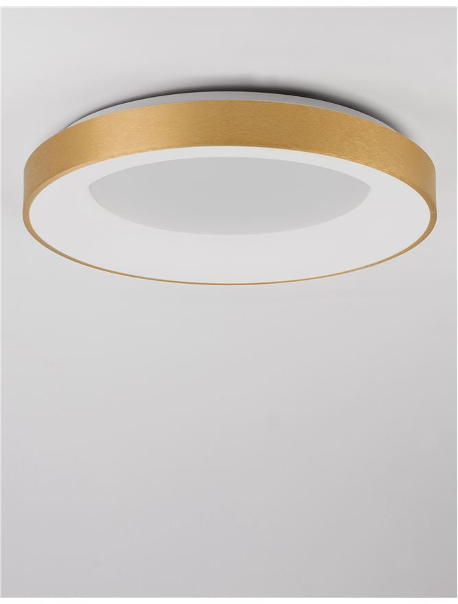 RAN Brushed Gold Aluminium & Acrylic Dimmable Warm Light Ring Flush Large - ID 10620