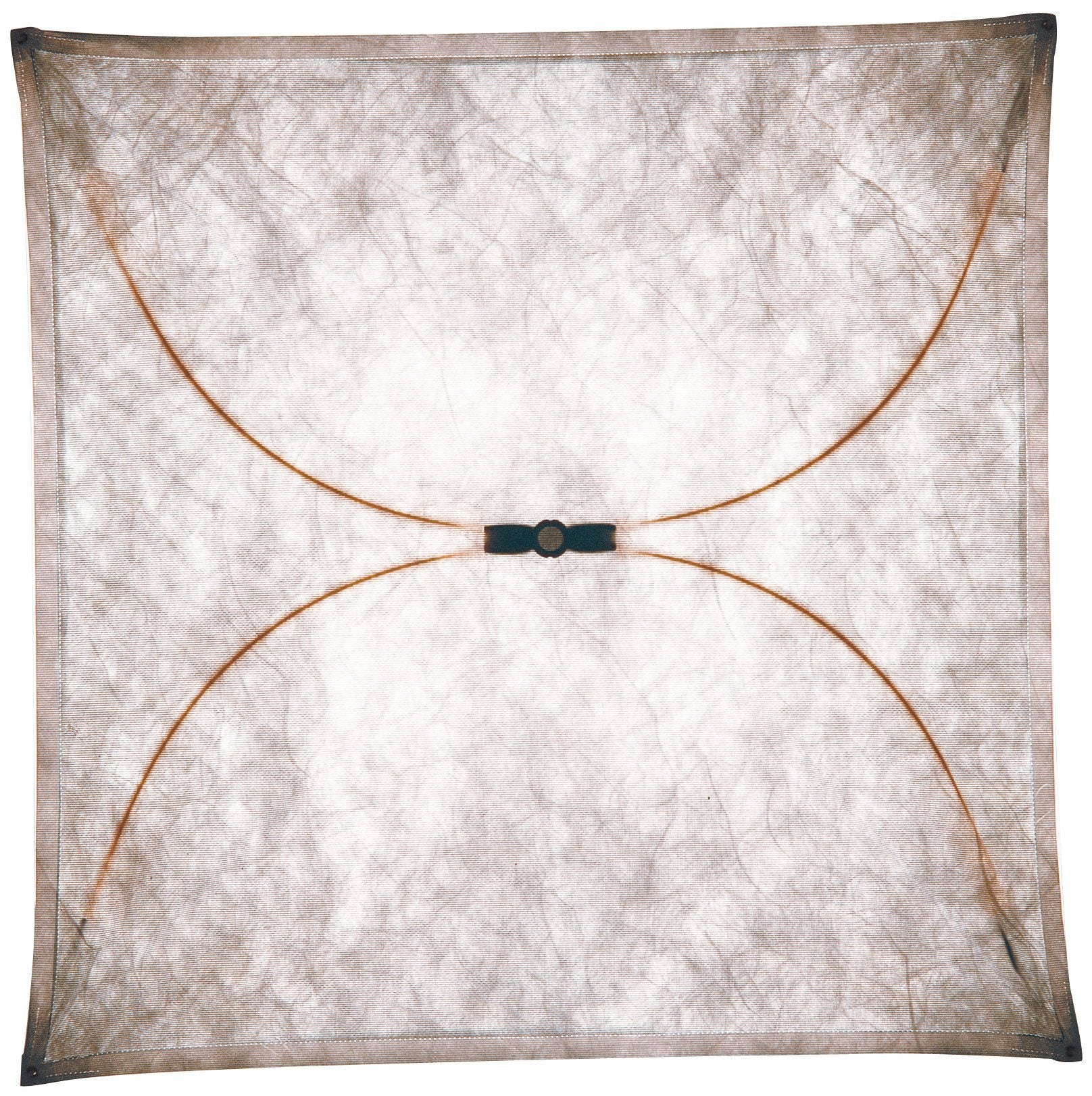 FLOS Ariette 2 Wall or Ceiling Light