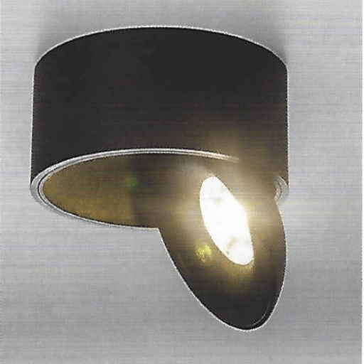 Hale Directionable Flush Ceiling Light in Black - ID 7422