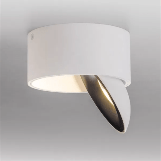 Hale Directionable Flush Ceiling Light in White - ID 9036